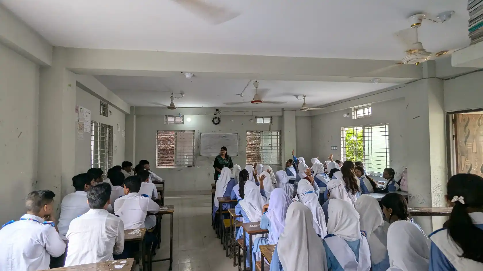 PXL_20240926_054233628 copy